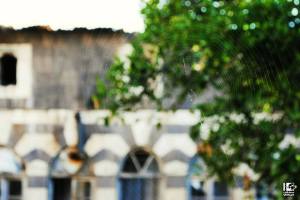 Umanità in trappola Homs 15 maggio 2013