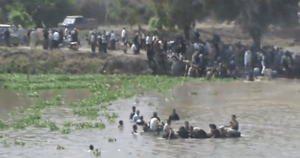 Helfaia Hama 10 maggio 2013