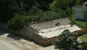 tra i profughi e gli sfollati