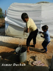 bambini diventati adulti bambini che sanno ancora giocare