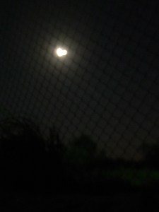 ???????????????????????????????