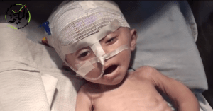 Mliha 13 novembre 2013