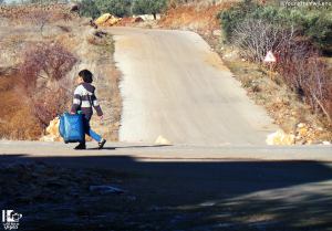 Hama 30 dicembre 2013